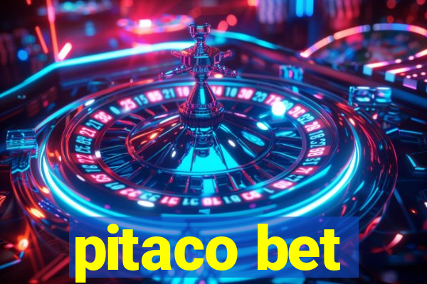 pitaco bet